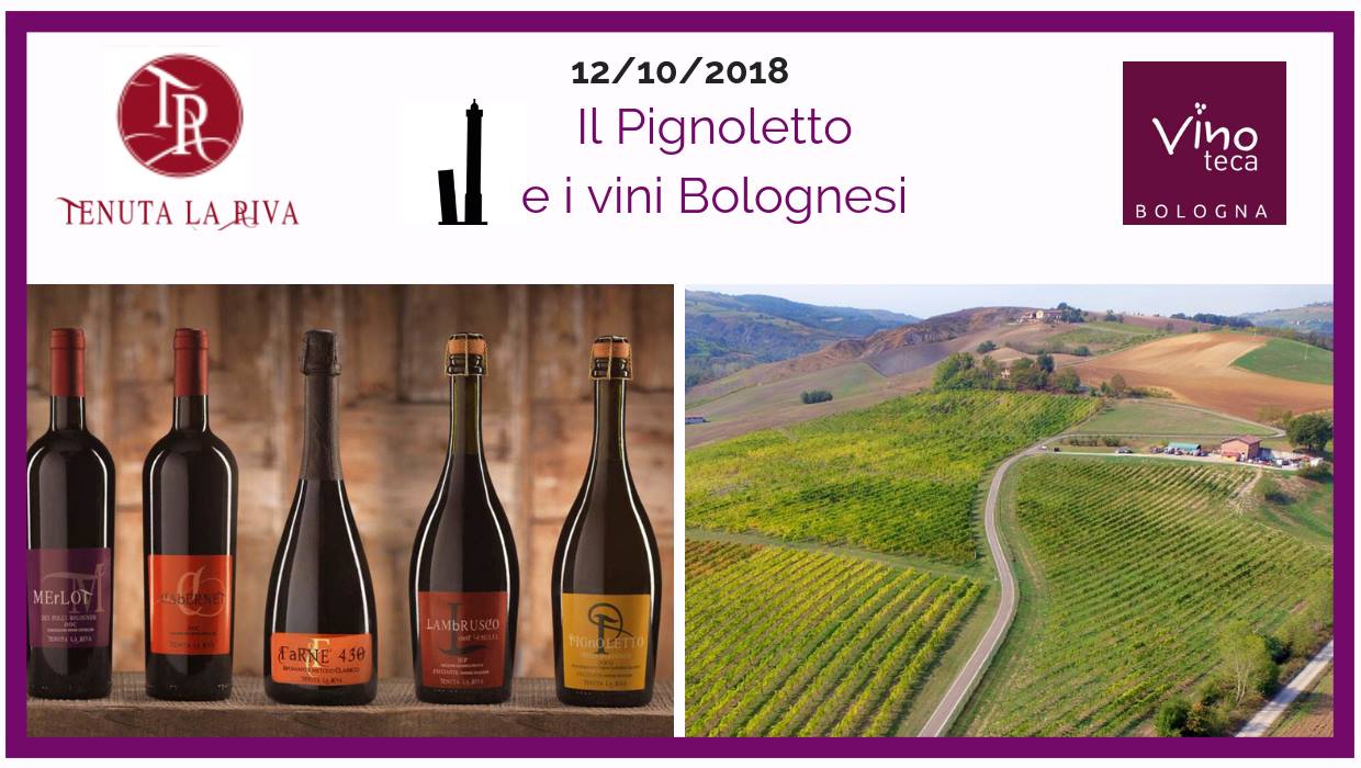 Il pignoletto e i vini bolognesi – Vinoteca Bologna